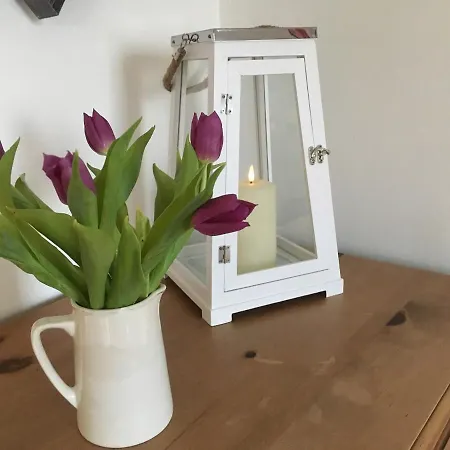 Holiday home Holly Rigg 3 Briarwood